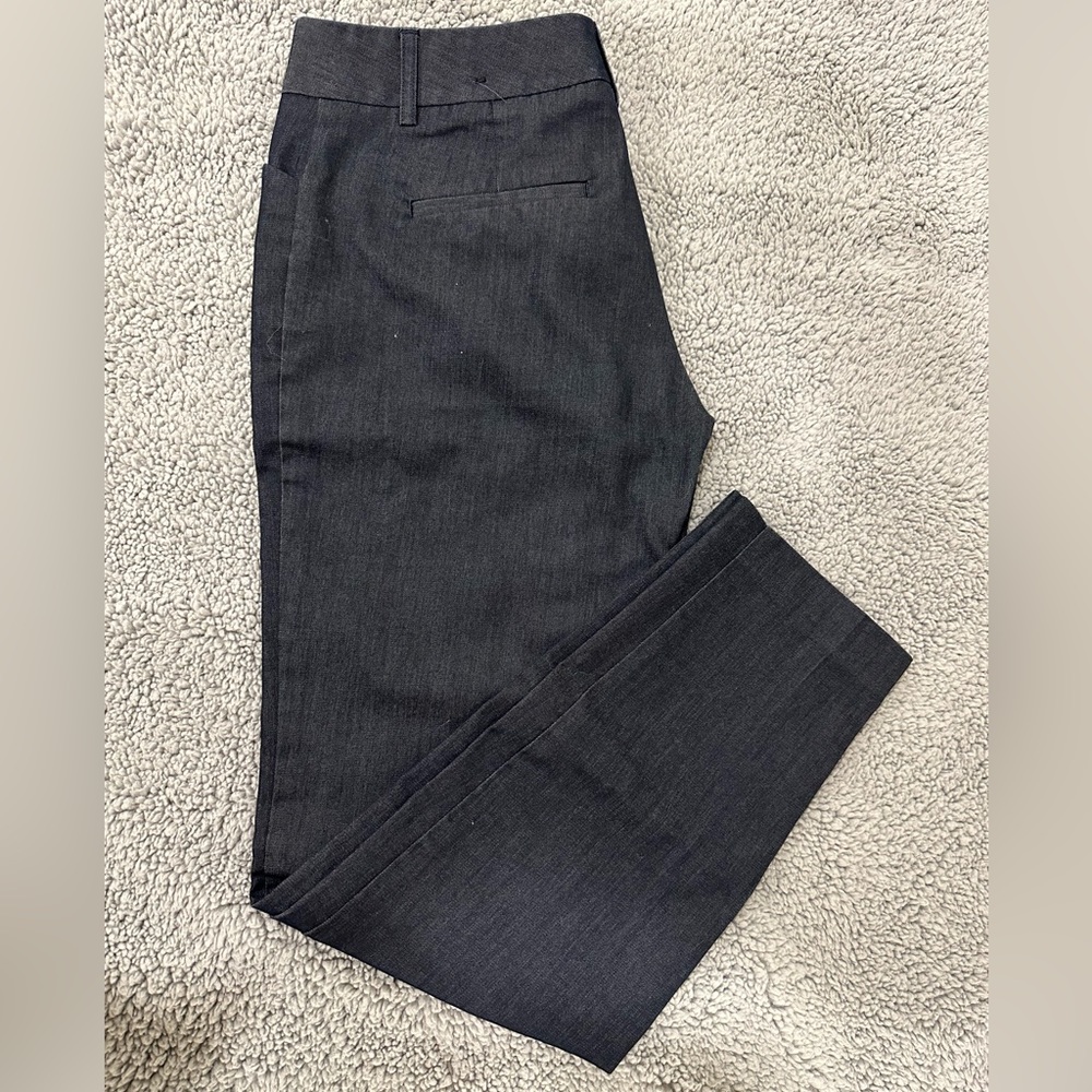 Express professional dress pant